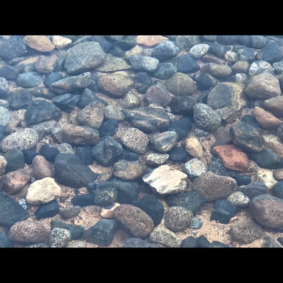 Meet your Posher, Cj - Picture 6 of 8